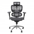 เก้าอี้เพื่อสุขภาพเออร์โกเทรน รุ่น Beyond Signature-01GMM